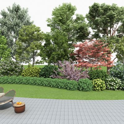  植物堆 景观树 灌木带 灌木球 樱花树 草地 植物组团