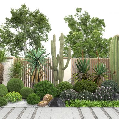 植物组合 灌木球 球形植物 球形绿植 景观树 热带植物 仙人掌 景观绿化