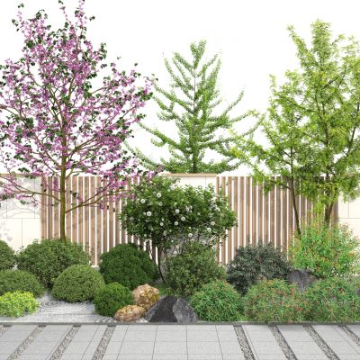 植物组合 灌木球 球形植物 灌木丛 球形绿植 树木