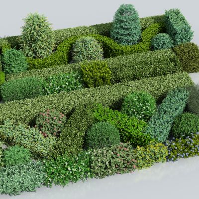  绿篱 方形灌木 方形树 方形绿篱 绿化带 法式绿植