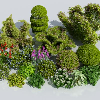 植物组合 花卉花草组合 灌木 景观绿植花草 室外鲜花绿化 植物组合 绿植花丛