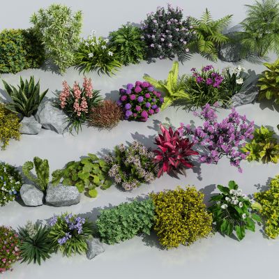 花草花卉组合 灌木 景观绿植花草 室外鲜花绿化 花卉植物组合