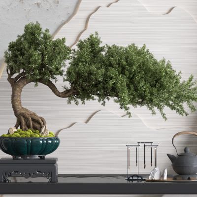  松树盆栽 松树盆景 造型松树 茶壶