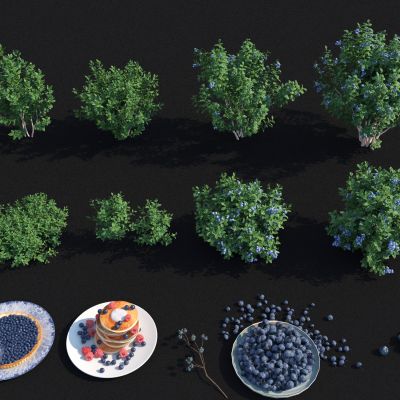  蓝莓 蓝莓水果 蓝莓树 蓝莓蛋糕