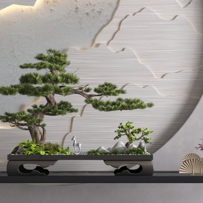  松树盆栽 松树盆景 造型松树