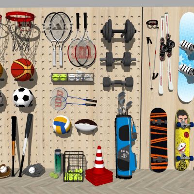 运动器材组合 篮球足球 羽毛球排球 高尔夫球网球 雪板滑板