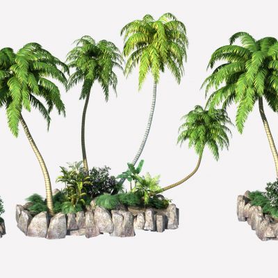 热带椰子树 棕榈树 热带植物