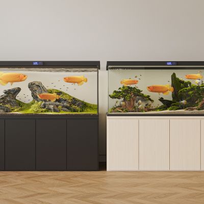 现代鱼缸