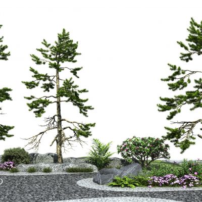 松树景观树 迎客松 石头狮柱 庭院松树小品