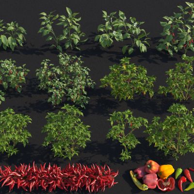 辣椒农作物 青椒 辣椒秧 辣椒苗 红辣椒 干辣椒