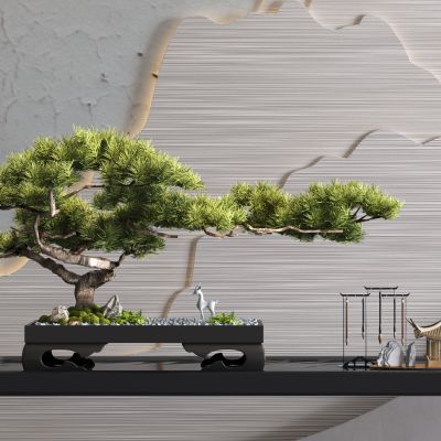 松树盆景 松树盆栽