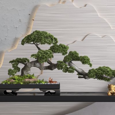 松树盆栽 松树盆景 麒麟