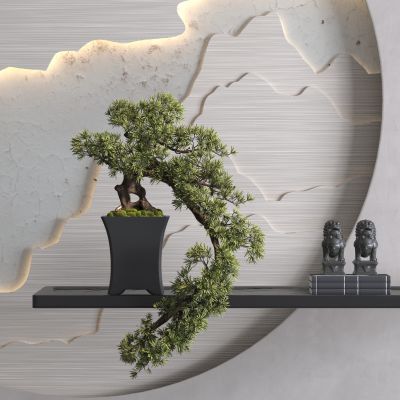 松树盆景 松树盆栽