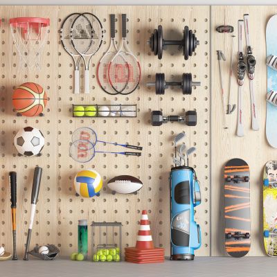 运动器材组合 篮球足球 羽毛球排球 高尔夫球网球 雪板滑板