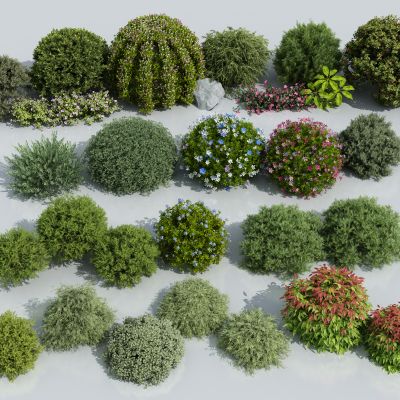 木 灌木球 球形植物 灌木丛 球形绿植