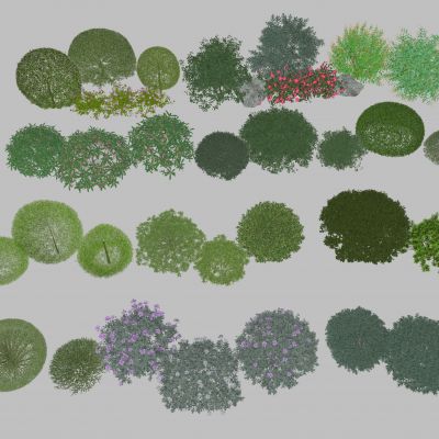 灌木 灌木球 球形植物 灌木丛 球形绿植