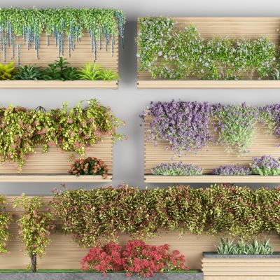 藤蔓绿植花箱 爬山虎 花卉藤蔓 树球 藤蔓架