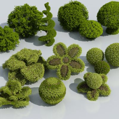  灌木 花型灌木 绿球组合 造型灌木