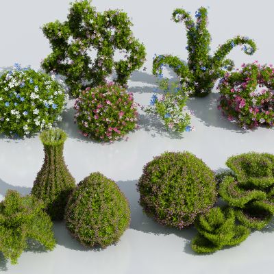 球星灌木花 灌木丛 灌木组合 绿化带 修剪型灌木 造型灌木