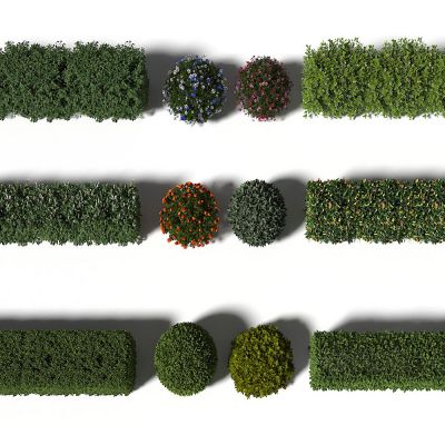绿篱，方形绿篱，圆形绿篱，圆形绿球，圆形绿植，绿化带