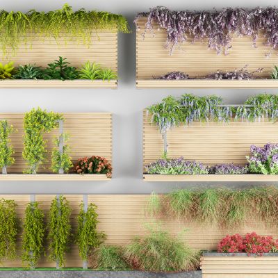 藤蔓绿植花箱 爬山虎 花卉藤蔓 藤蔓架