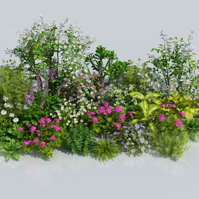 花卉花草组合 灌木 景观绿植花草 室外鲜花绿化 植物组合 绿植花丛