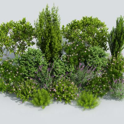 花草花卉 植物组合 灌木 绿化带 绿植花丛