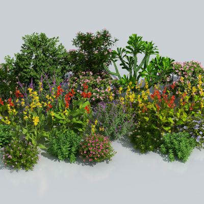 花草花卉 植物组合 灌木 绿化带 绿植花丛 花卉灌木