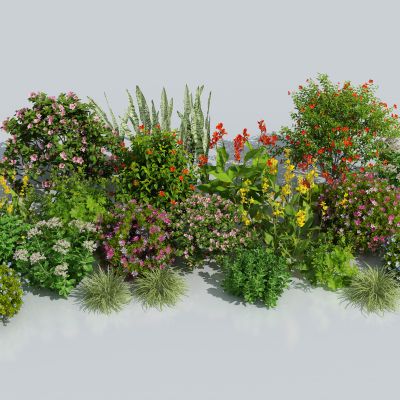 花卉花草组合 灌木 景观绿植花草 室外鲜花绿化 花丛绿植