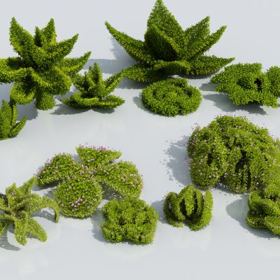 灌木球绿篱 造型绿篱 绿化景观