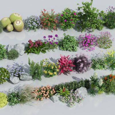  花草组合 灌木 景观绿植花草 花卉植物组合
