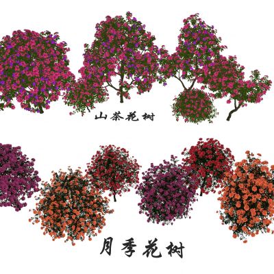 月季花 玫瑰花 蔷薇花 梨树 花卉灌木 山茶花树