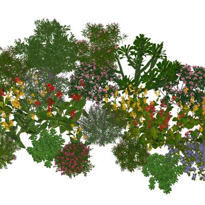 花草花卉 植物组合 灌木 绿化带 绿植花丛 花卉灌木