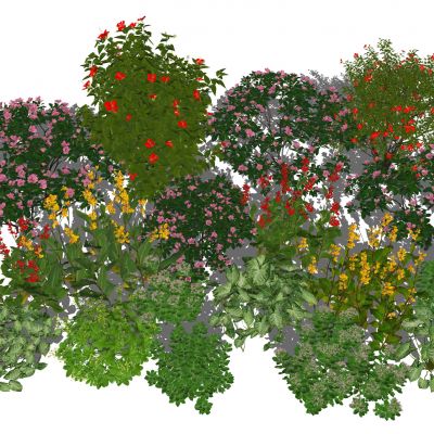 花草花卉 植物组合 灌木 绿化带 绿植花丛