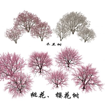 樱花 樱花树 桃花 桃花树 紫玉兰 木兰 玉兰花树