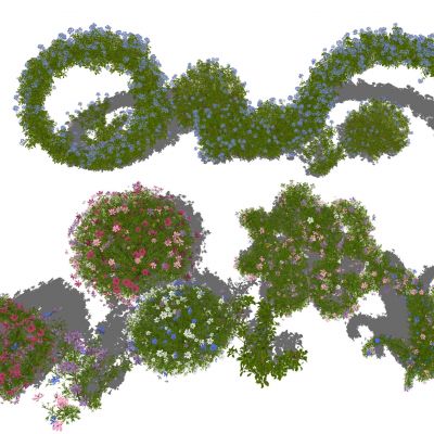 灌木 球形灌木花 花型灌木 造型灌木