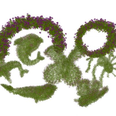 灌木 花型灌木 绿球组合 造型灌木