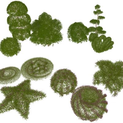 灌木球绿篱 造型绿篱 绿化景观