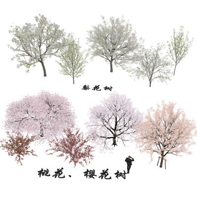 樱花 樱花树 桃花 桃花树 梨树