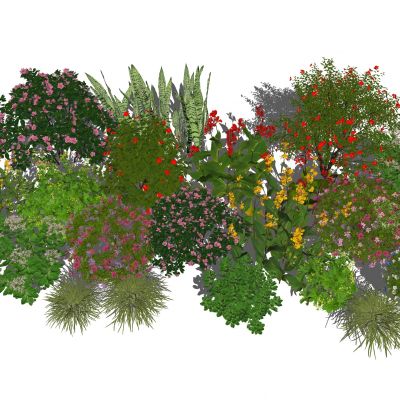  花卉花草组合 灌木 景观绿植花草 室外鲜花绿化 花丛绿植