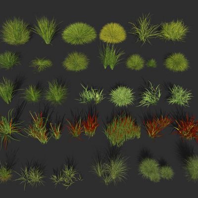 草 花草 草丛 草堆