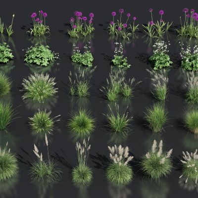 芦苇绿植 花圃灌木 花卉绿植 狗尾草 景观草