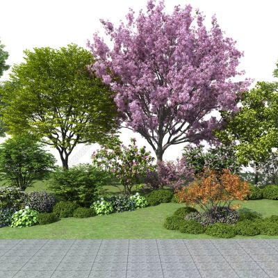 植物堆 景观树 灌木带 灌木球 樱花树 草地 植物组团