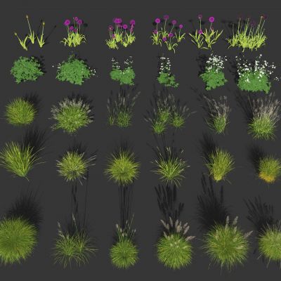 芦苇绿植 花圃灌木 花卉绿植 狗尾草 景观草