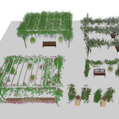 藤蔓绿植花箱 爬山虎 爬藤 花卉藤蔓 树球 藤蔓架