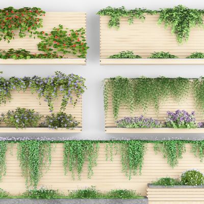 藤蔓绿植花箱 爬山虎 爬藤 花卉藤蔓 植物墙