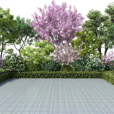  植物堆 景观树 灌木带 灌木球 樱花树 草地 植物组团