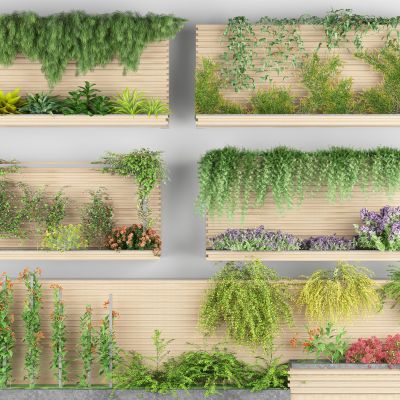 藤蔓绿植 爬山虎 爬藤 花卉藤蔓 植物墙