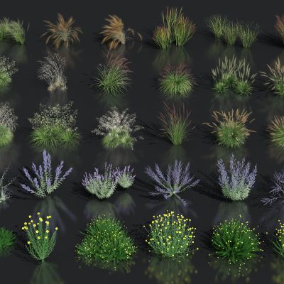 花圃芦苇绿植 灌木花卉绿植 狗尾草 景观草