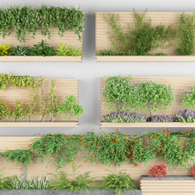 藤蔓绿植花箱 爬山虎 爬藤 花卉藤蔓 植物墙